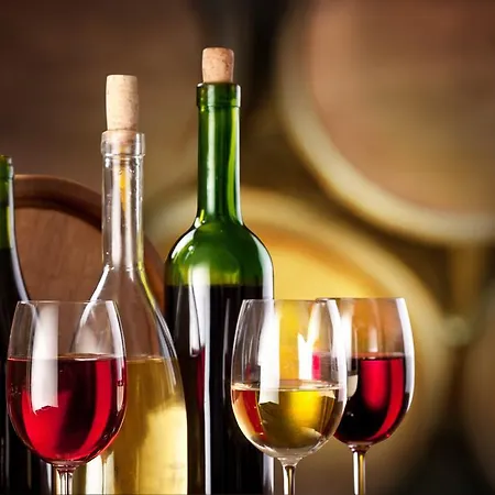 Moon House فندق مبيت وإفطار *