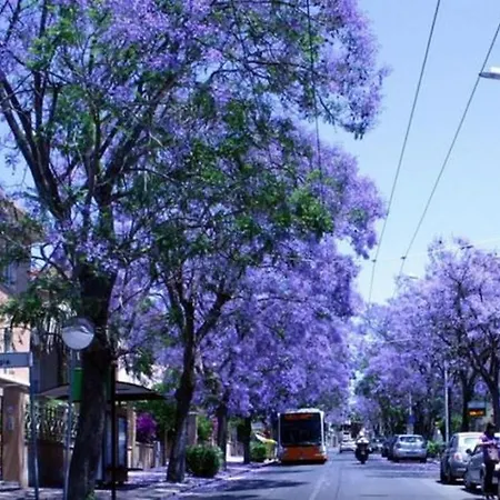 Moon House * 卡利亚里